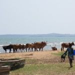 Lago Tanganika, Ujiji,Tanzania