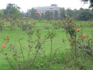 El jardin de las rosas de Chandigarh