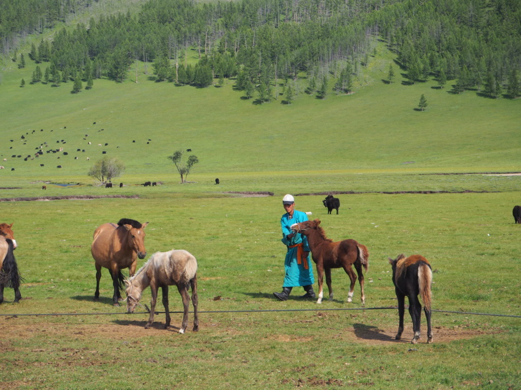 Mongolia, la gran desconocida.