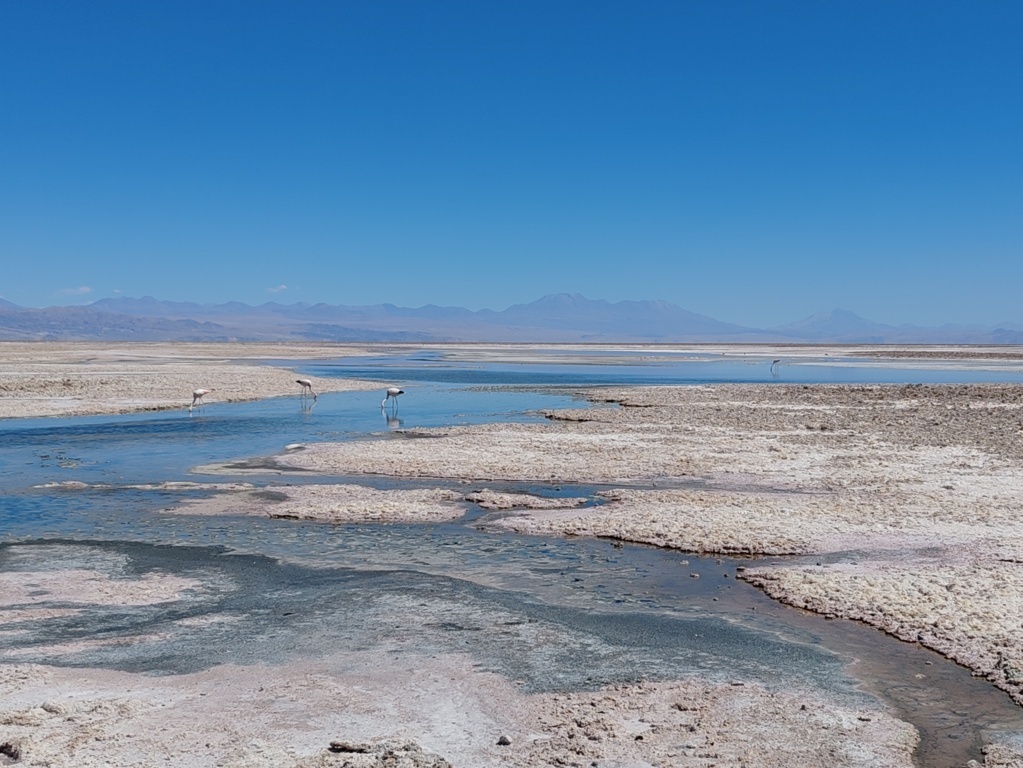 Viaje sola a Atacama en Chile