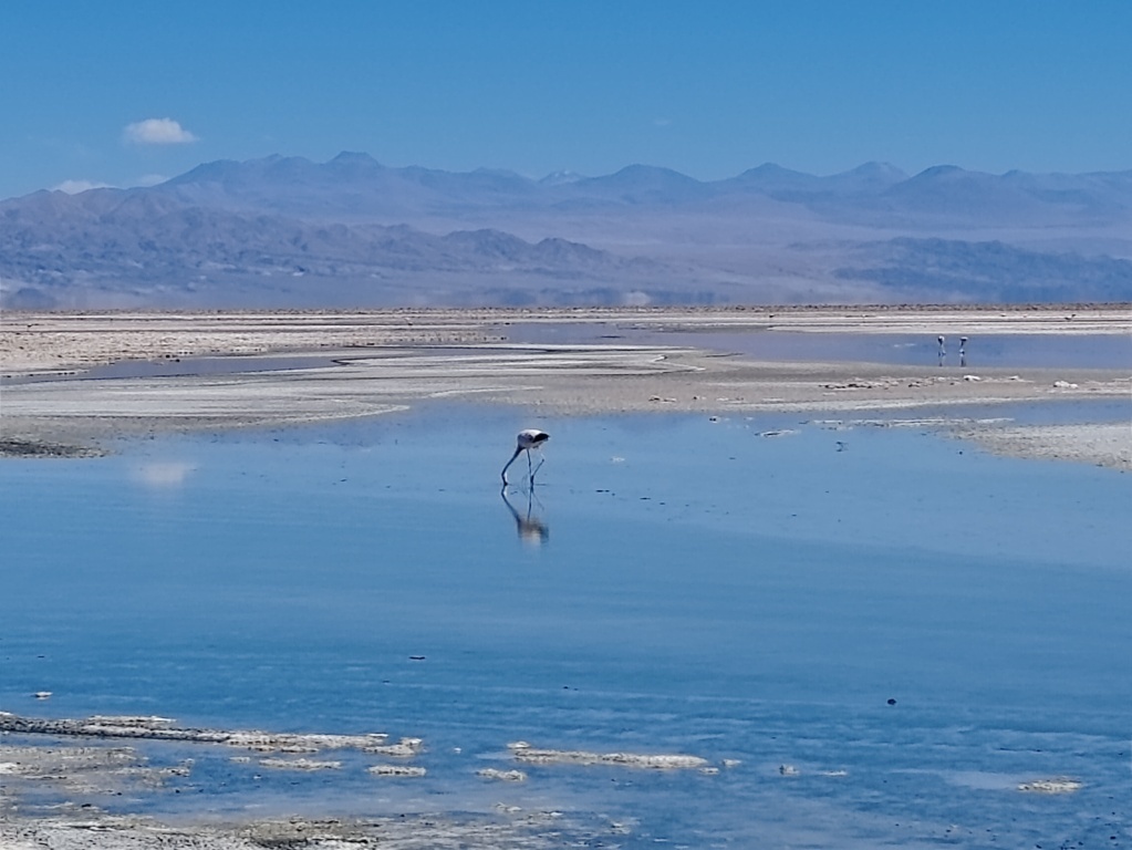 Viaje sola a Atacama en Chile