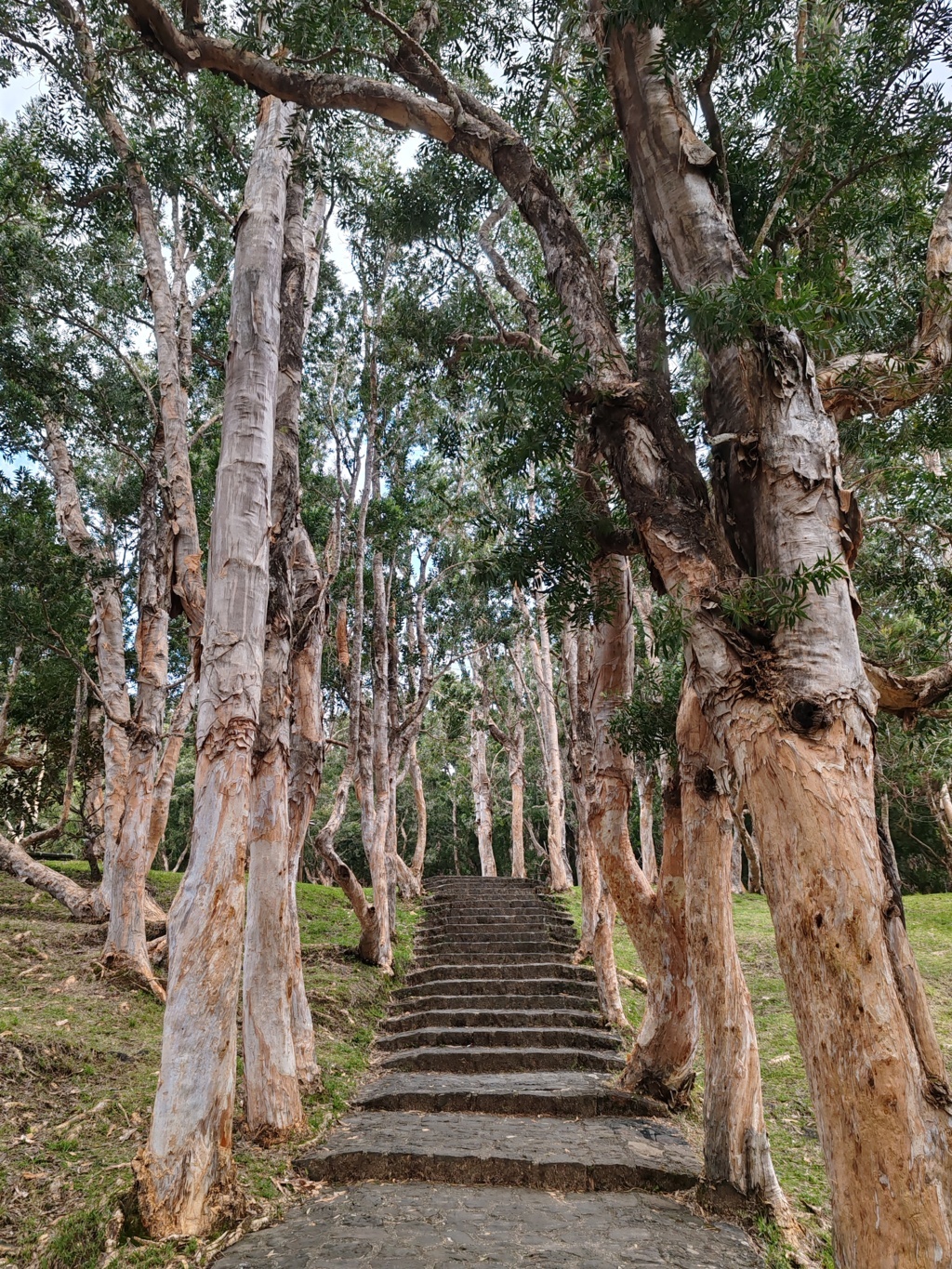 Qué ver en Mauricio Qué ver en Mauricio