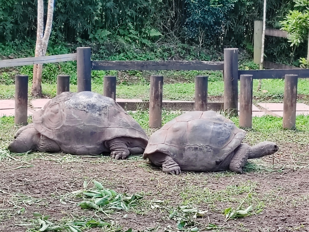 Qué ver en Mauricio Qué ver en Mauricio