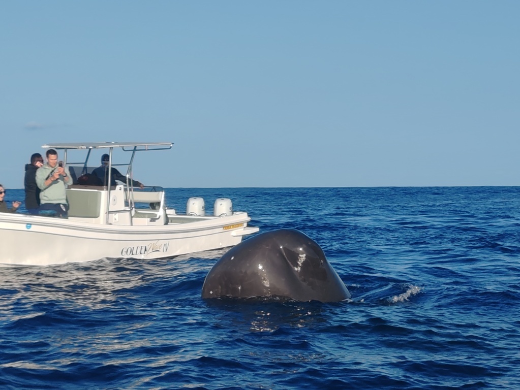 Qué ver en Mauricio Qué ver en Mauricio