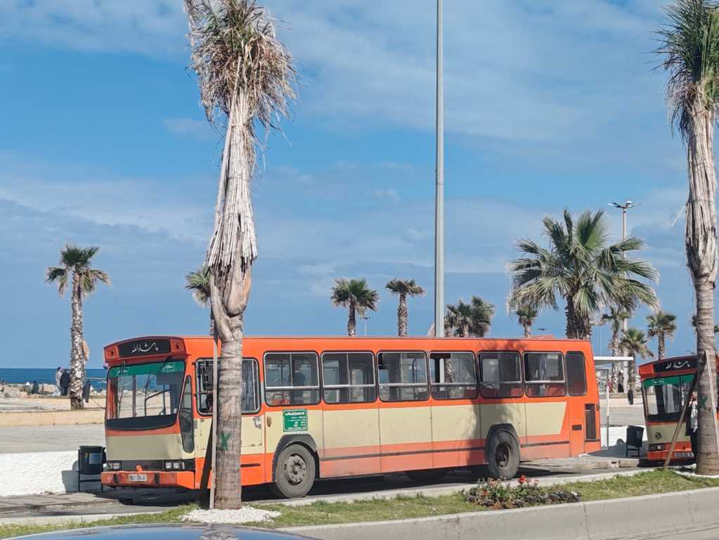 Viaje sola a Argel Viaje sola a Argel