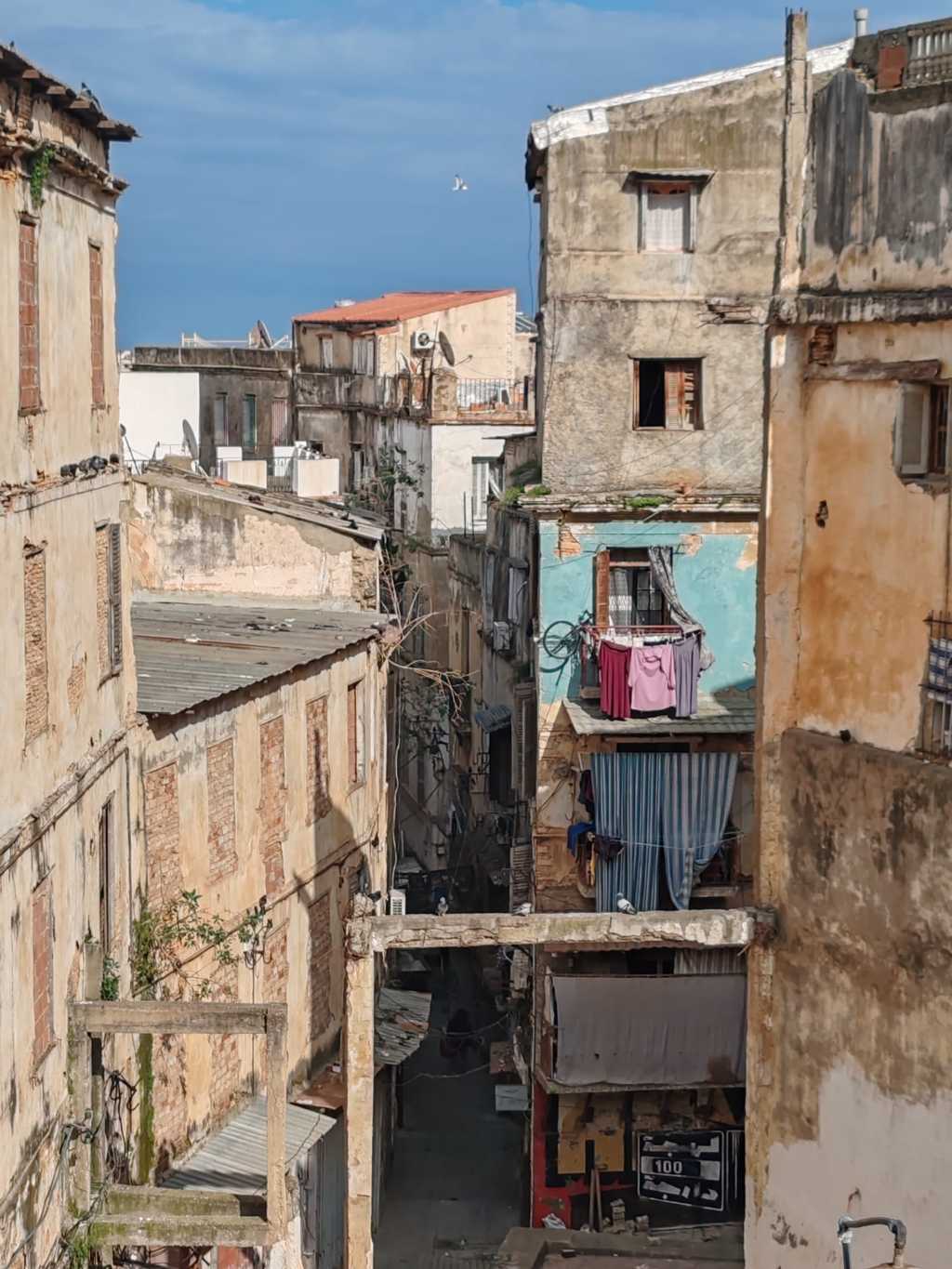 Viaje sola a Argel Viaje sola a Argel