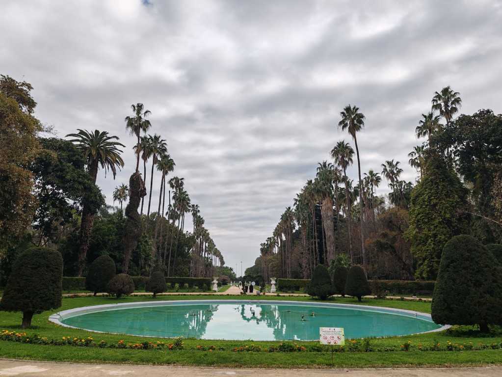 Viaje sola a Argel Viaje sola a Argel