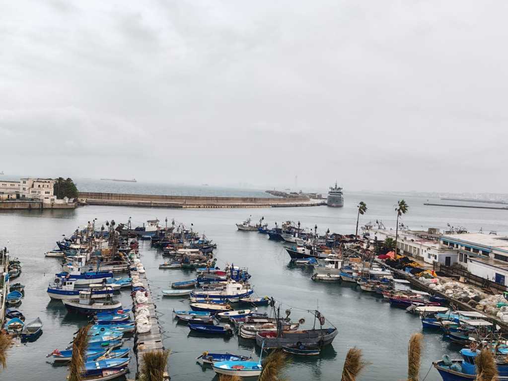 Viaje sola a Argel Viaje sola a Argel